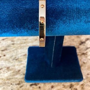 Stainless Steele Bracelet.